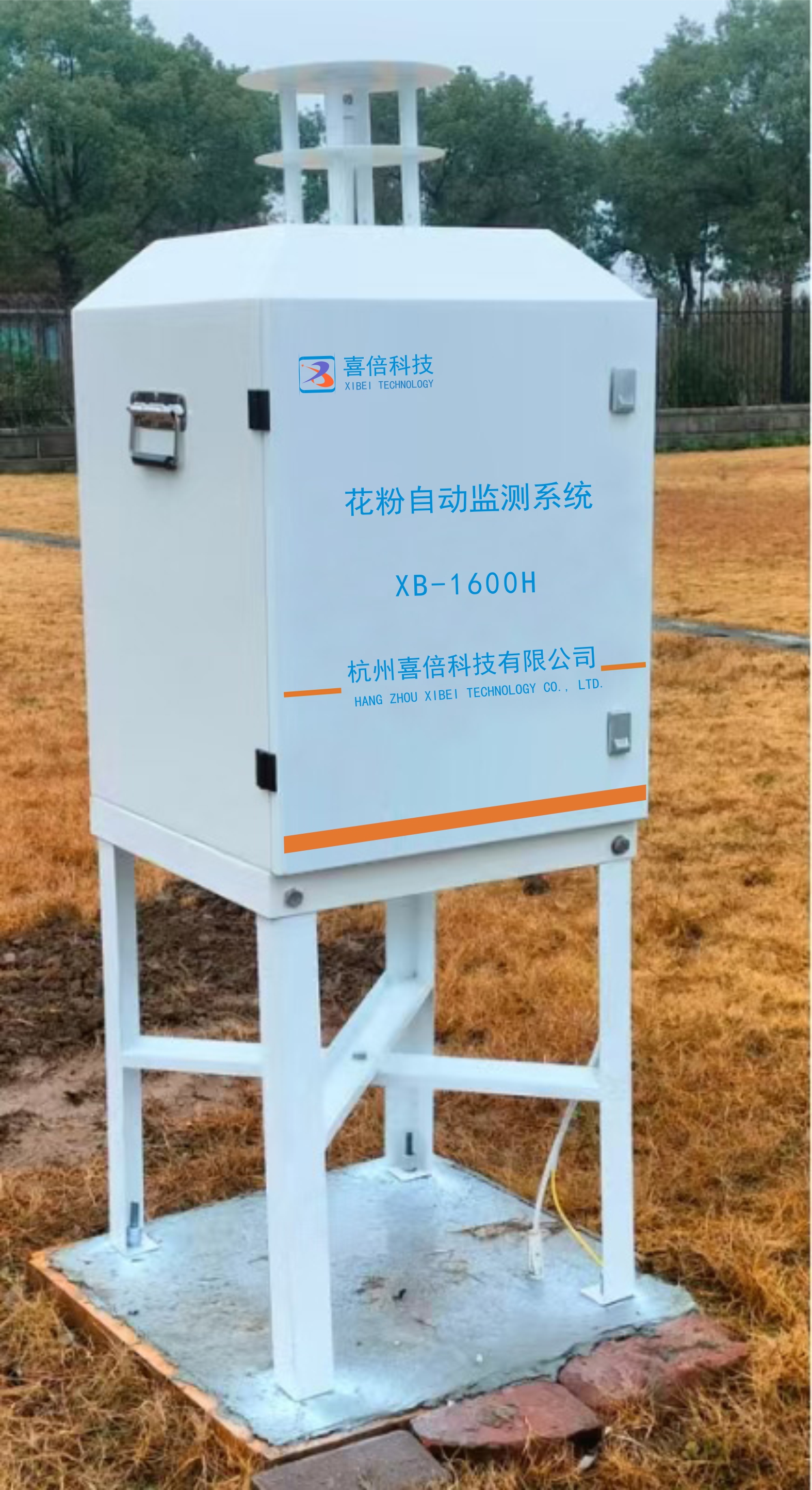 1756001087178810.jpg 3現(xiàn)場.jpg